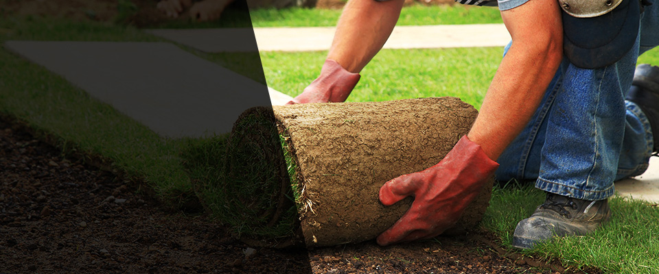 Frankston Landscapers